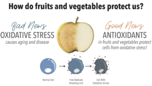 Apple oxidation